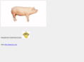 piclatam.com