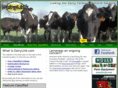 dairylink.net