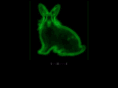 nuclearbunny.org