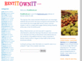 rentitownit.com