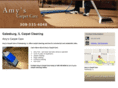 amyscarpetcare.com