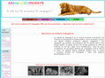 animal-compagnie.fr