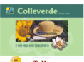 colleverdeclub.com