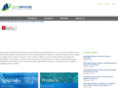 newbridgewireless.com