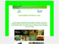 cannabis-picture.com