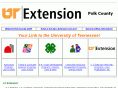 polkagextension.com