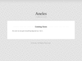 aneles.net