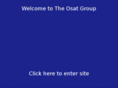 theosatgroup.com