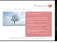 tribecarecruitment.com