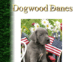 dogwooddanes.com