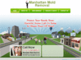 manhattanmoldremoval.com