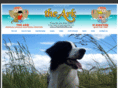corfuanimalwelfare.com