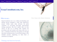 essayconsultant.com