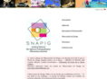 snapig.com