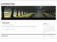 consultantview.net