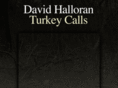 davidhalloranturkeycalls.com