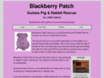 blackberrypatch.co.uk