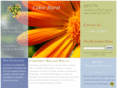color-burst.com