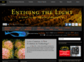 enticingthelight.com