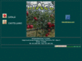 hiaco.com