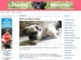 puppyaddiction.com