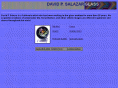 salazarglass.com