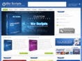 bizscripts.net