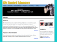 kbsstandardschnauzers.com