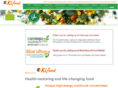 kifoodenergy.com