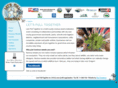 letspulltogether.com