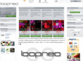 loopneo.com