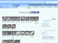 bluelineeconomy.com