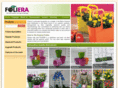 foliera.com