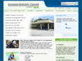 gadsdensurgerycenter.com