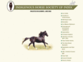 horseindian.com