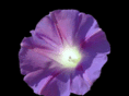 jamesgavette.com