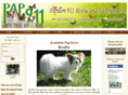 pap911rescue.org