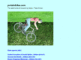 potatobike.com