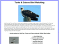 turksandcaicosbirdwatching.com