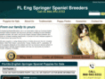 flengspringerspanielbreeders.com