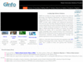ginfointl.com