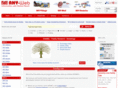 zhanel.com