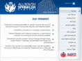allsouthsprinkler.com