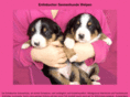 entlebucher.net