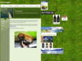 gotchaga.net