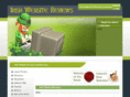 irishwebsitereviews.com
