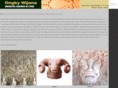 masterstonecarver.com