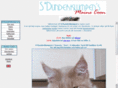dunderklumpens.com