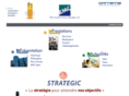erp-strategic.com