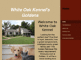 whiteoakkennelgoldens.com